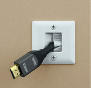 1 3/4" Hole Saw Wall Plate with Brushes