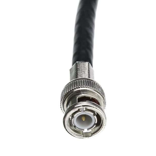 BNC RG6 Coaxial Cable, Black, BNC Male, UL rated, 6 foot