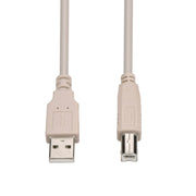 6Ft A-Male to B-Male USB2.0 Cable Ivory