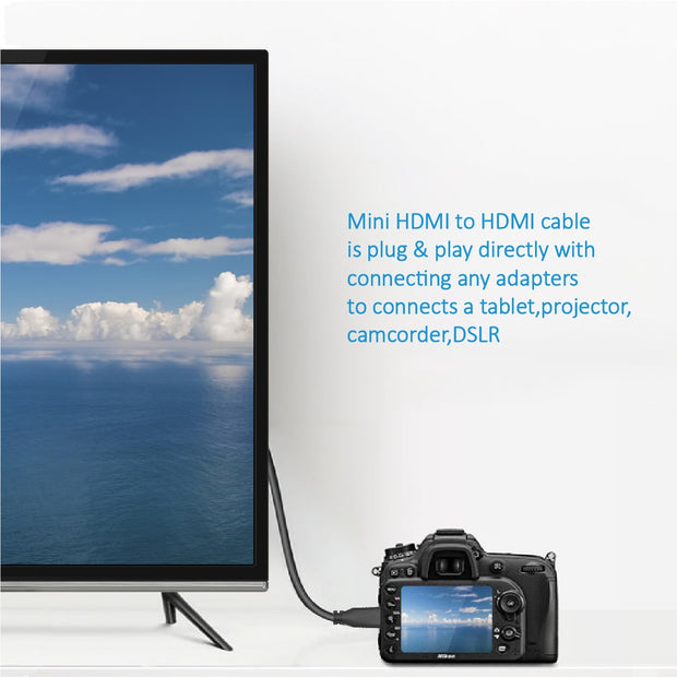 3Ft HDMI Male/Mini Cable 4K 60Hz