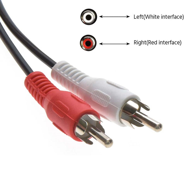 100Ft RCA M/Mx2 Audio Cable